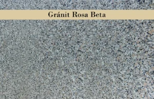 Rosa Beta
