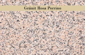 Rosa Porrino